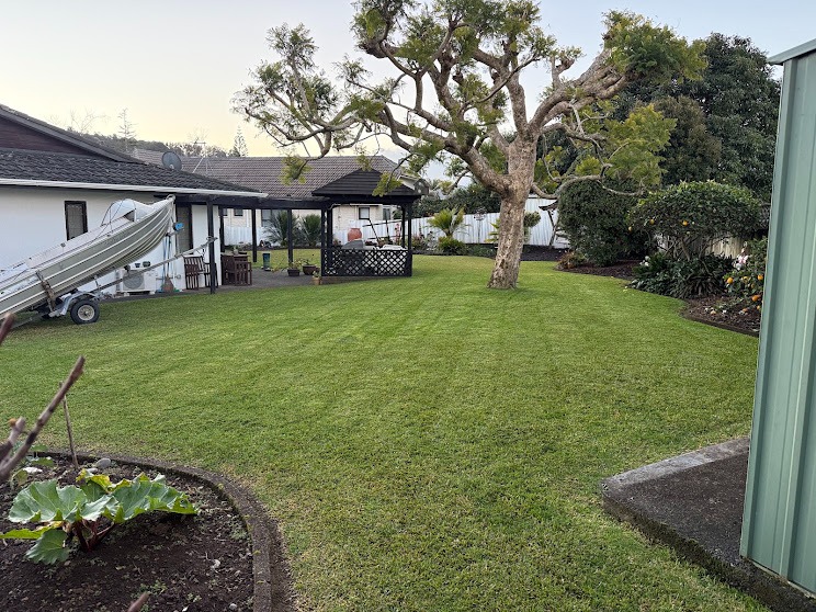 Large back lawn mowed in stripes under a mature tree, Whangarei