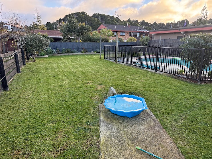Back yard lawn mowed beside a pool fence, Whangarei