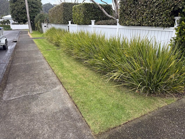 Berm and garden edges tidied around flax, Whangarei