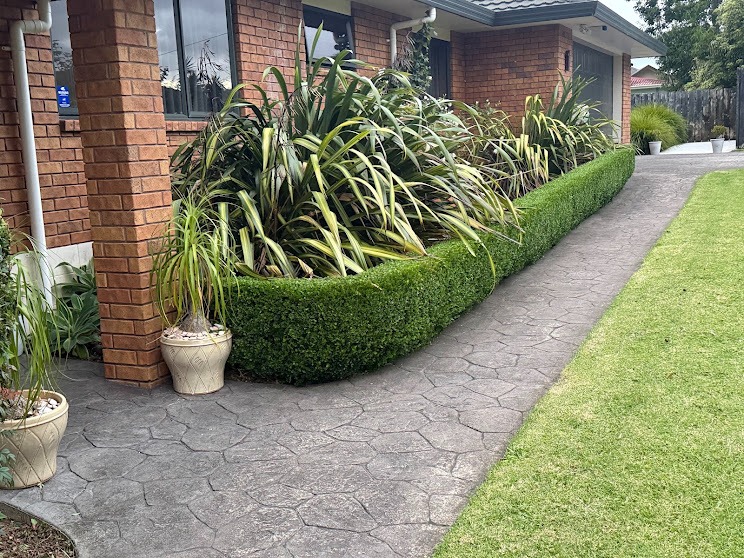 Low box hedge and crisp lawn edge along a garden path, Whangarei