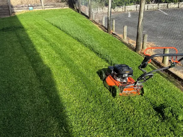 Freshly mowed lawn with stripes beside a fence in Whangarei