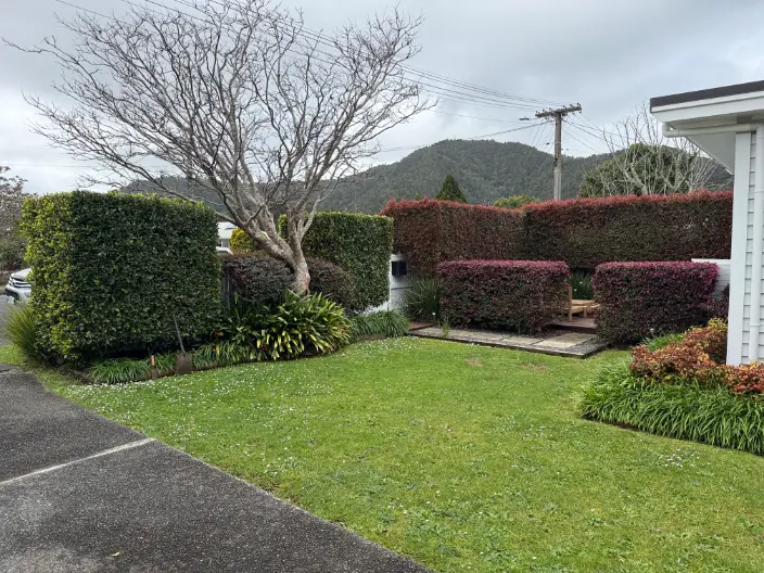 Front lawn with shaped hedges, Whau Valley, Whangarei