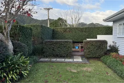 Front garden hedge trim, Whangarei