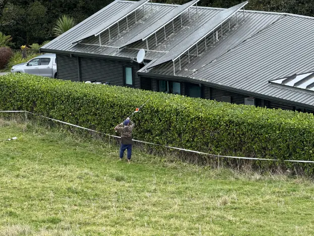 Trimming a long hedge on a rural property near Whangarei