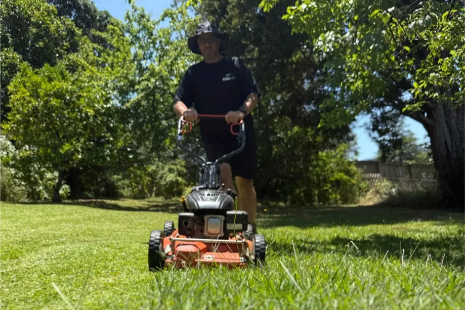 Mowing a back lawn, Whangarei