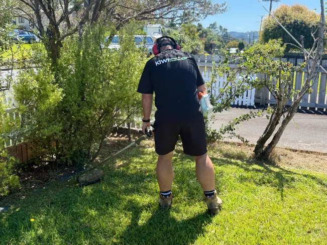 Line trimming lawn edges along a picket fence, Whangarei