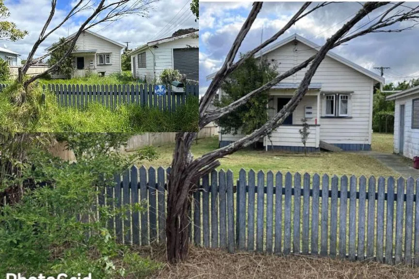 Overgrown rental property before and after a tidy-up in Whangarei