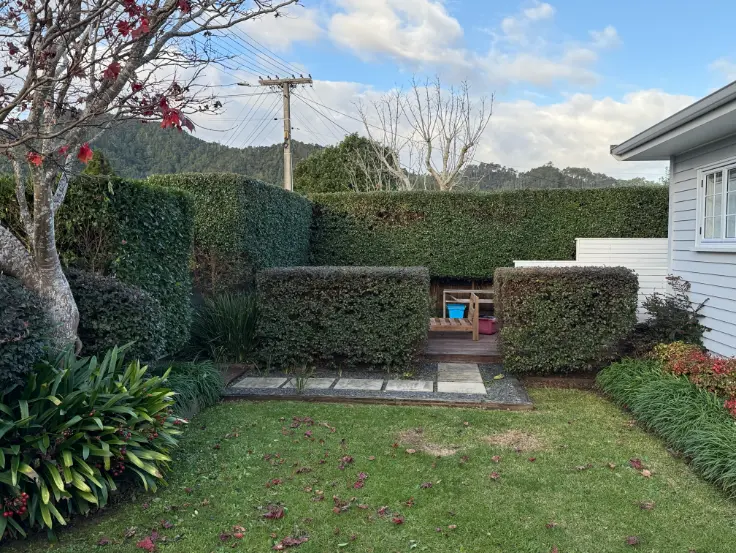 Trimmed hedges around a paved courtyard, Whangarei