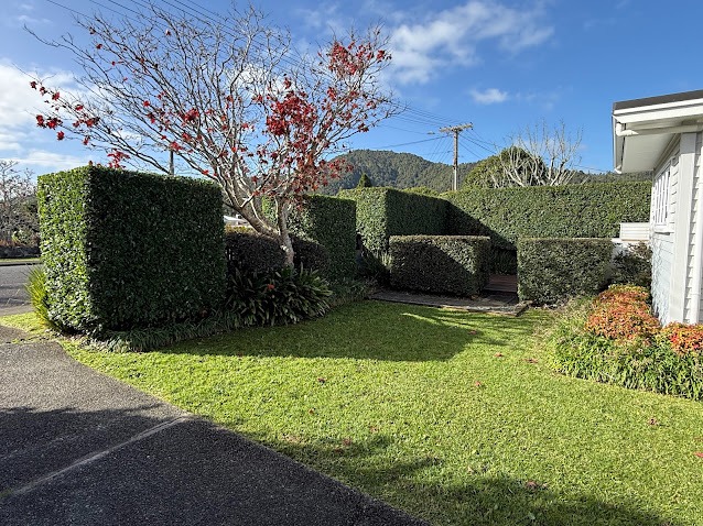 Shaped hedges in a front garden, Whangarei