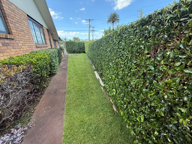 Side lawn and hedge, Whangarei